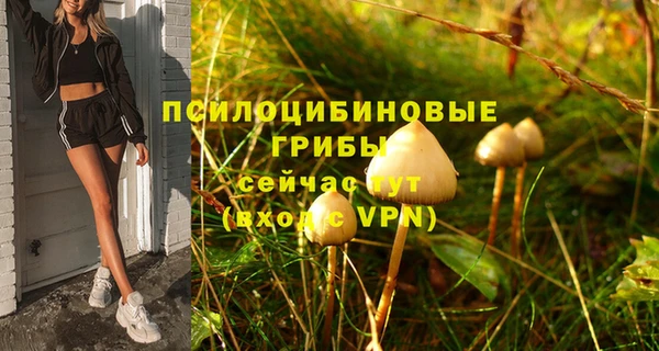хмурый Абдулино
