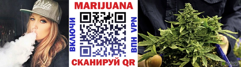 Шишки марихуана сатива  как найти наркотики  Шали 
